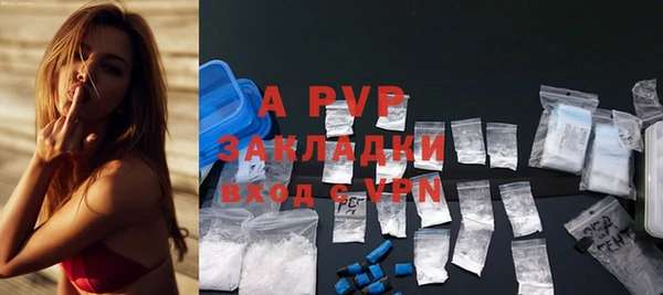 сатива Волоколамск