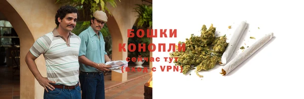 спайс Магас