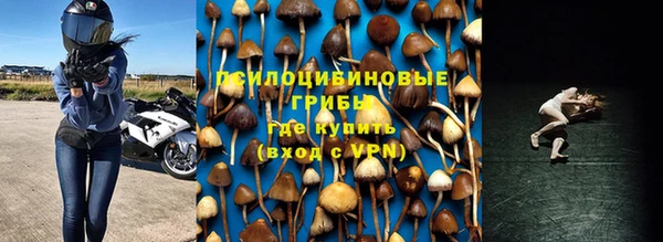 прущие крисы Мегион