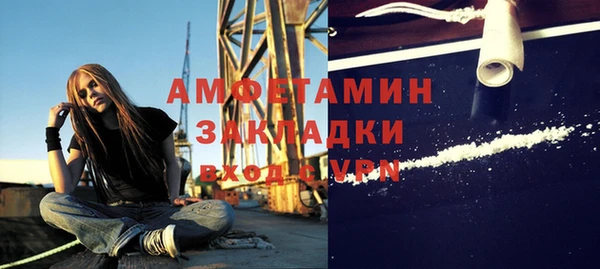 сатива Волоколамск