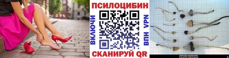 Галлюциногенные грибы GOLDEN TEACHER  купить   Макаров 